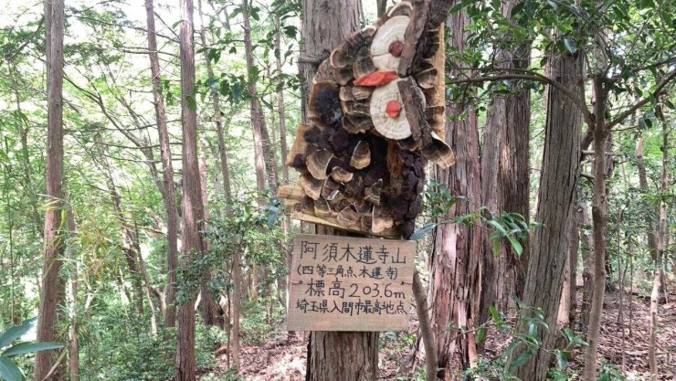 金子丘陵トレイル 12km