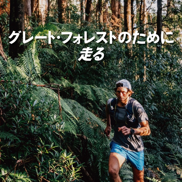 Patagonia「グレートフォレストのために走る」を上映します