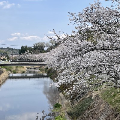 第67回三重町さくらロードレース大会