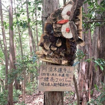 金子丘陵トレイル 12km