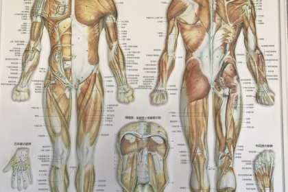 【期間限定】『速さ』『故障しない体』そして、『結果』も手に入れる！ハイブリッドコンディショニング