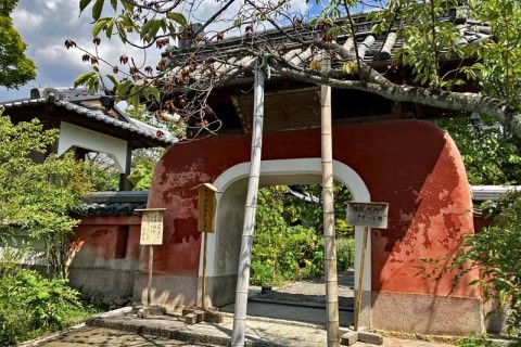 ≪ランde観光≫［京都］江戸時代の天才画家！若冲の足跡をめぐる【レベル3】観光ラン