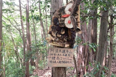 茶の都いるま里山トレイル　金子丘陵トレイル(練習会)