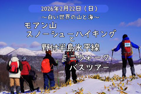 モアン山スノーシューハイキングと野付半島氷平線ミニウォークバスツアー