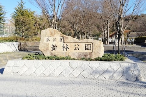 藤沢市文化財ハイキングコース5　村岡の紅葉と鎌倉古道