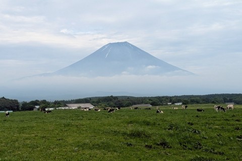 第10 回 富士山一周ウルトラウォーキング2026