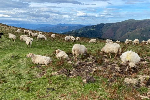 GR10 FKT Revenge 〜原点回帰〜 トレイルランナー南圭介 トークイベント