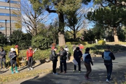 東京都心100CPロゲ