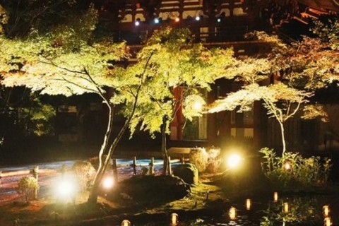 11/24(月祝)【秋の紅葉トレラン～室生寺ライトアップ～】