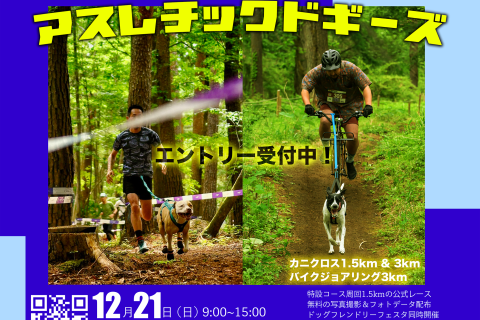 千葉市&チェコ共和国大使館 後援 「愛犬と走る」2025千葉アスレチックドギーズ