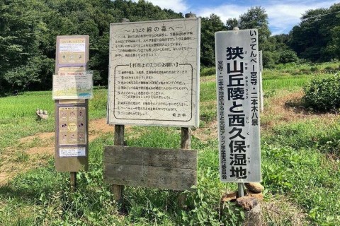 茶の都いるま里山トレイル　狭山丘陵トレイル(練習会)
