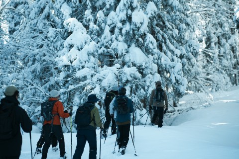 BCクロカン スノーハイキング