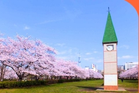 「亀戸中央公園」パークヨガ～太陽礼拝15回チャレンジ～【TOKYO EAST PARK】