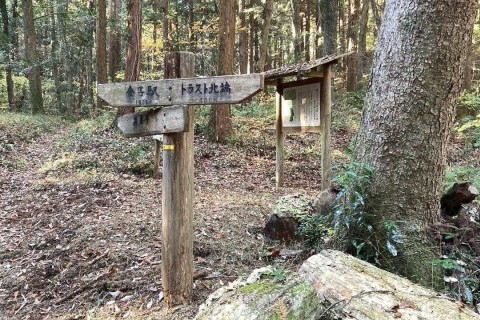 トレイル風景その2