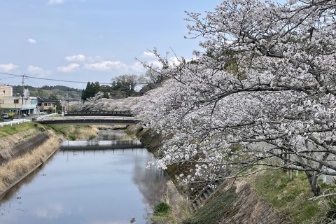 第67回三重町さくらロードレース大会