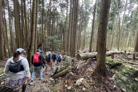 風とススキの生石トレイルラン