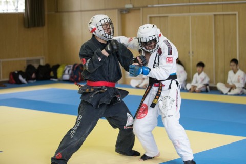 日本古式武術連盟　拳心會　道場生募集