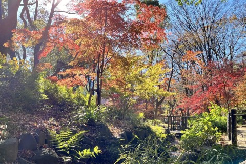 最新！電動アシスト付スポーツ自転車で都立３公園をめぐる「TOKYO散走」