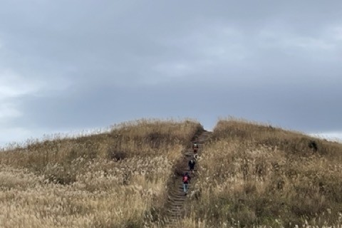 風とススキの生石トレイルラン