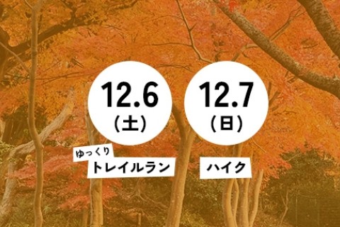 【初心者･鎌倉･12月】紅葉の山で朝食！ローカルモーニングトレイル (ゆっくりトレイルラン/ハイク)
