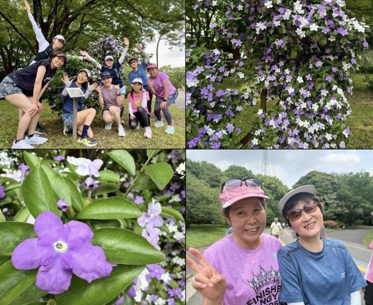 四季折々のお花を楽しみます