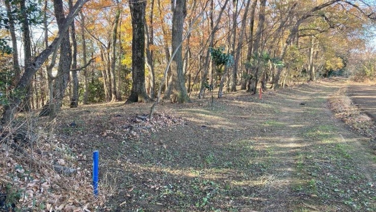 ハケの雑木林を上がって農道に入ったところ