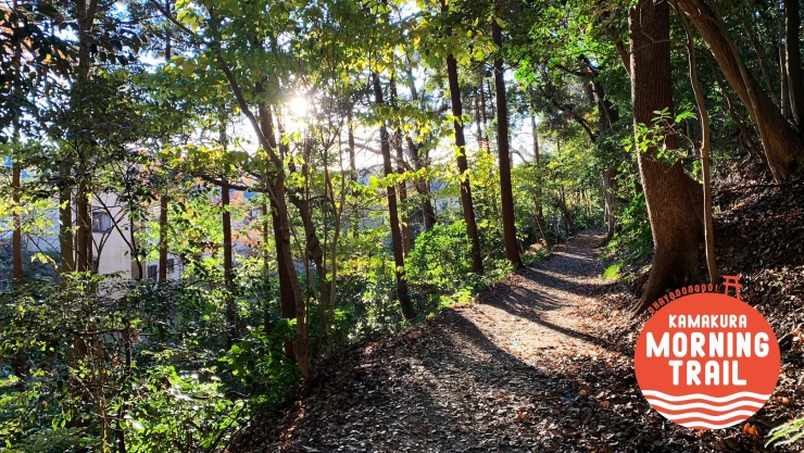 【初心者】朝の鎌倉トレイルラン＆ウォーク