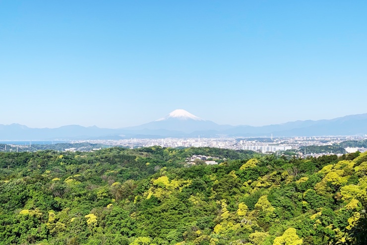 【初心者】鎌倉リトリート・ヨガトレイル