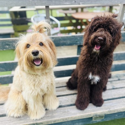 マルベベままさん