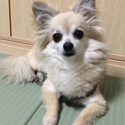 根ケ掛　丈太郎