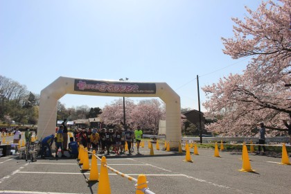 第6回さがみ湖さくらランinさがみ湖MORI MORI