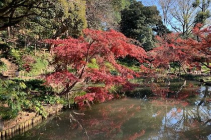 東京都心100CPロゲ