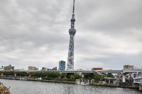 上野公園からスカイツリー　５／８ｋｍ　団体歩行