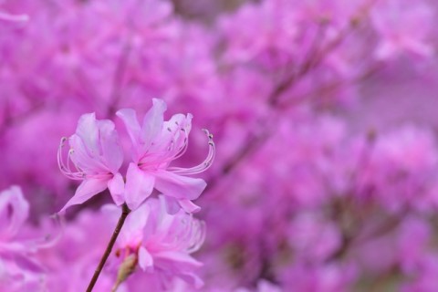 ゆる山あるき　今熊神社