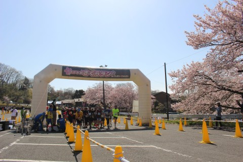 第6回さがみ湖さくらランinさがみ湖MORI MORI