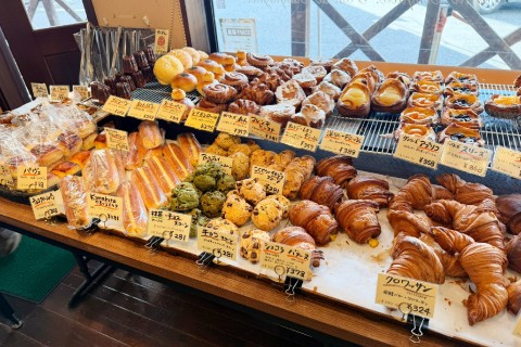 【初心者】鎌倉to横浜16kmロングローカルモーニングトレイル (ゆっくりトレイルラン)