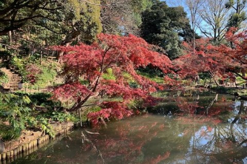 東京都心100CPロゲ