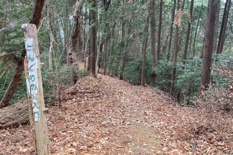 どんぐりの森入口