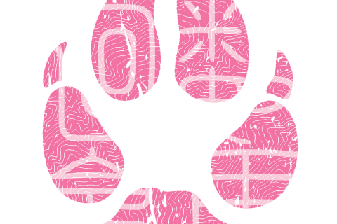 数馬回峯2026 ～ Kazuma Mountain Challenge 2026 ～