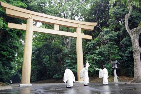 梅めぐりマラニック