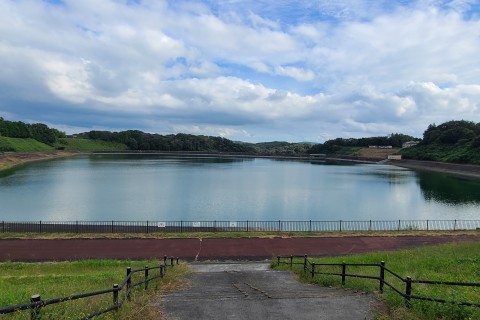 芝ざくら公園芳那(はな)の水晶湖リレーマラソン