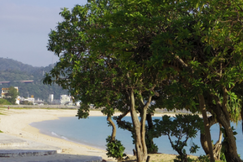 第6回 沖縄名護夕空絶景マラソン大会