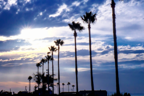 第15回 大阪せんなん夕空絶景マラソン大会