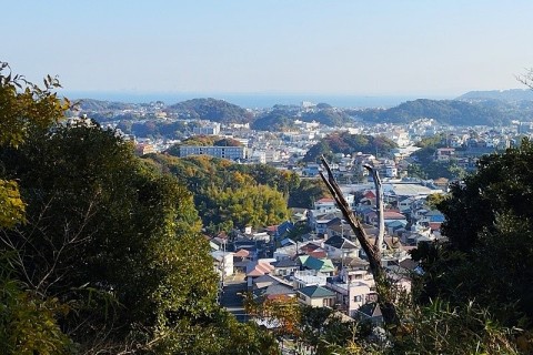 ゆる山あるき　横須賀・衣笠山～武山