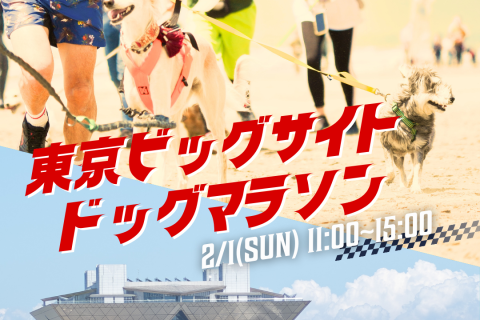 東京ビッグサイト ドッグマラソン