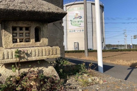 いるティーとカエルの置物のある風景