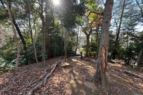 国分府台グリーンロード 試走会