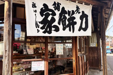 【鎌倉to江ノ島】山と海をつなぐ絶景ワンウェイトレイル