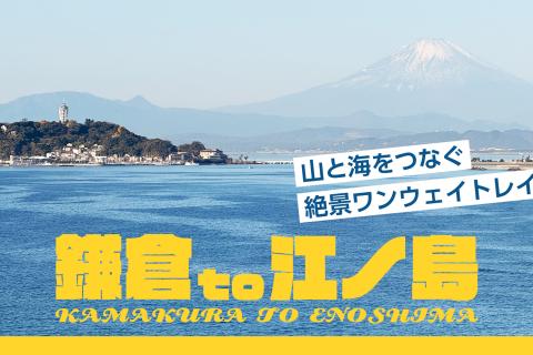 【鎌倉to江ノ島】山と海をつなぐ絶景ワンウェイトレイル