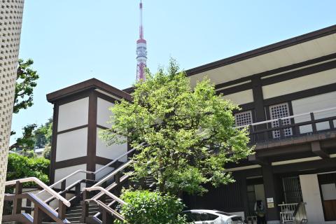 Tokyo Temple Run 走って感じるお寺の魅力